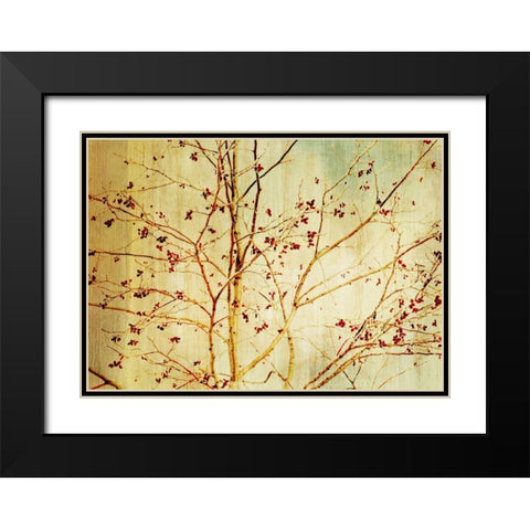 Etched Black Modern Wood Framed Art Print with Double Matting by PI Studio