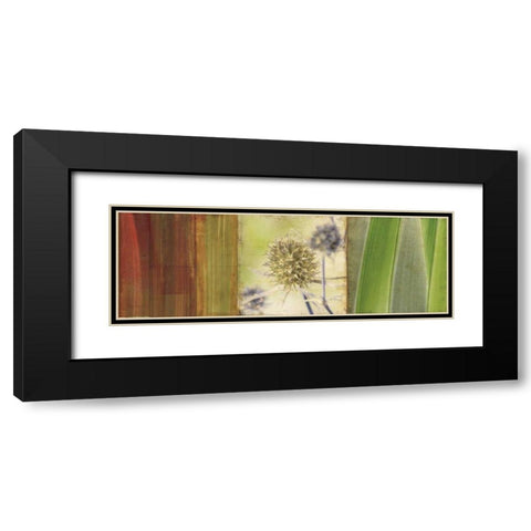 Organics Black Modern Wood Framed Art Print with Double Matting by PI Studio