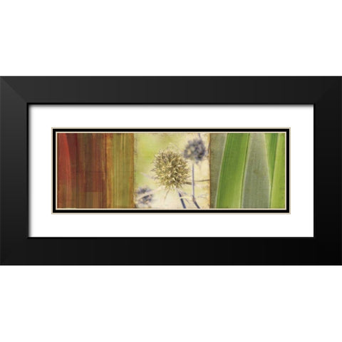 Organics Black Modern Wood Framed Art Print with Double Matting by PI Studio