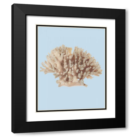 Coral I Black Modern Wood Framed Art Print with Double Matting by PI Studio