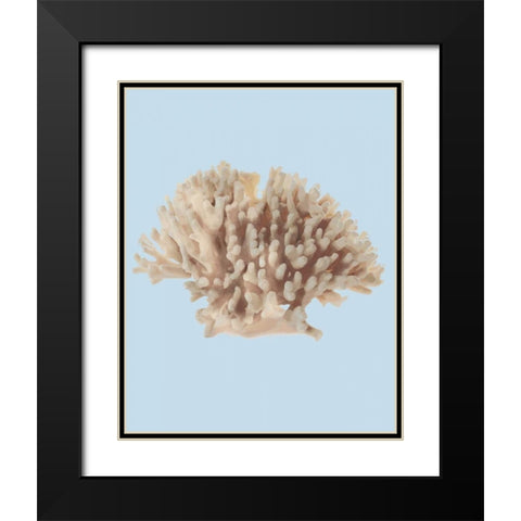 Coral I Black Modern Wood Framed Art Print with Double Matting by PI Studio
