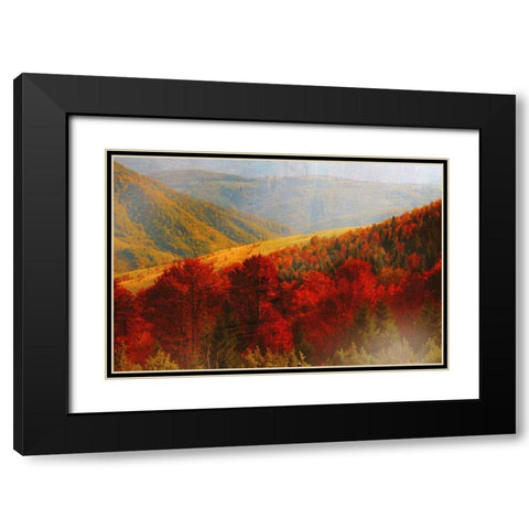 Crimson Country Black Modern Wood Framed Art Print with Double Matting by PI Studio