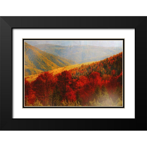 Crimson Country Black Modern Wood Framed Art Print with Double Matting by PI Studio