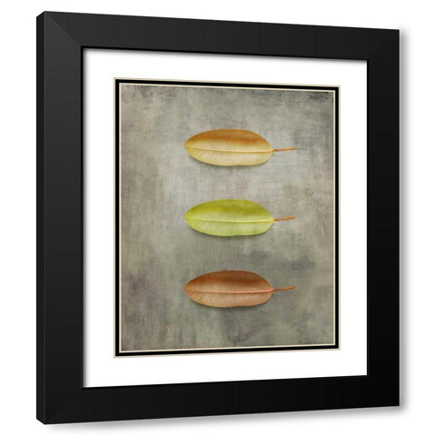 STUDY II Black Modern Wood Framed Art Print with Double Matting by PI Studio