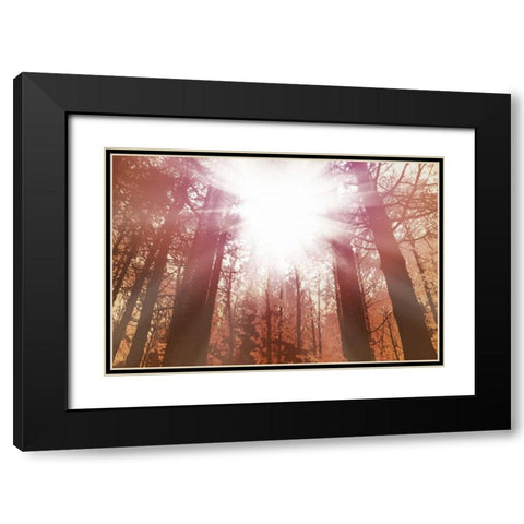 Sun Dance Black Modern Wood Framed Art Print with Double Matting by PI Studio