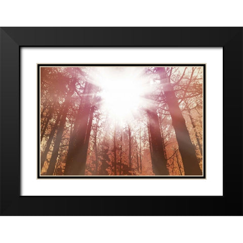 Sun Dance Black Modern Wood Framed Art Print with Double Matting by PI Studio