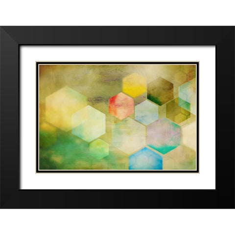 Honeycomb I Black Modern Wood Framed Art Print with Double Matting by PI Studio