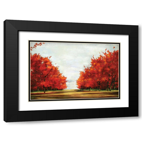 Red Glory Black Modern Wood Framed Art Print with Double Matting by Pearce, Allison