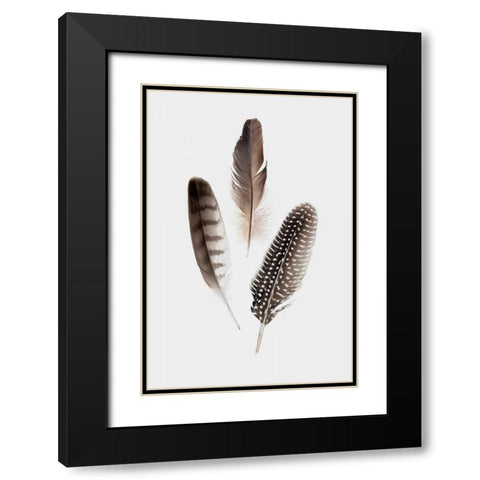 Feathers I Black Modern Wood Framed Art Print with Double Matting by PI Studio