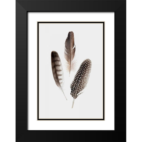 Feathers I Black Modern Wood Framed Art Print with Double Matting by PI Studio