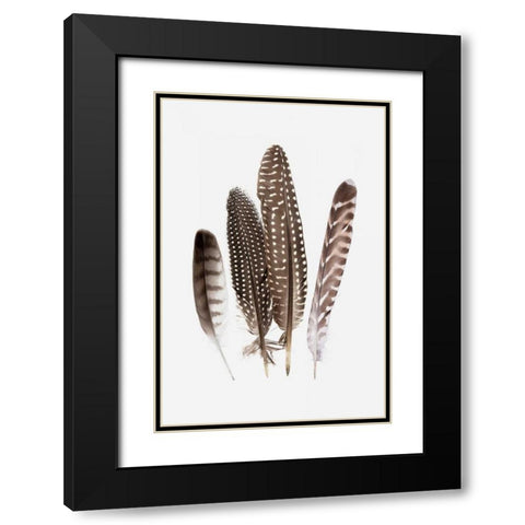 Feathers II Black Modern Wood Framed Art Print with Double Matting by PI Studio