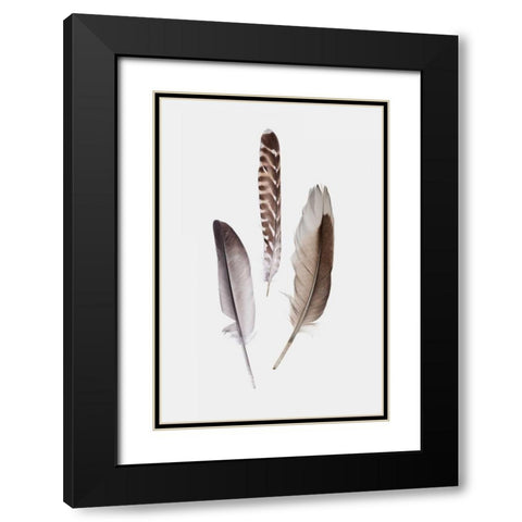 Feathers III Black Modern Wood Framed Art Print with Double Matting by PI Studio