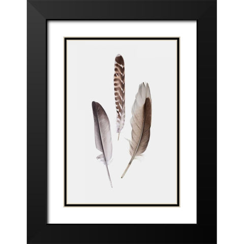 Feathers III Black Modern Wood Framed Art Print with Double Matting by PI Studio