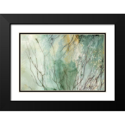 Branches II Black Modern Wood Framed Art Print with Double Matting by PI Galerie