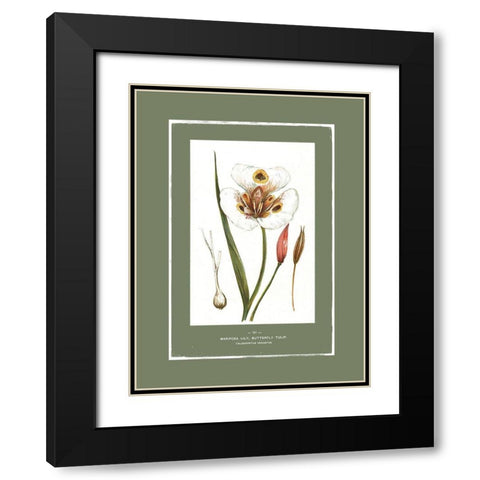 Green Botanics I  Black Modern Wood Framed Art Print with Double Matting by PI Studio