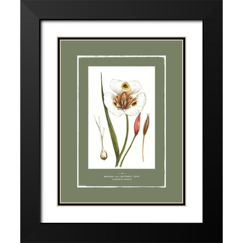 Green Botanics I  Black Modern Wood Framed Art Print with Double Matting by PI Studio