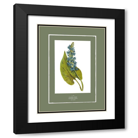 Green Botanics II Black Modern Wood Framed Art Print with Double Matting by PI Studio