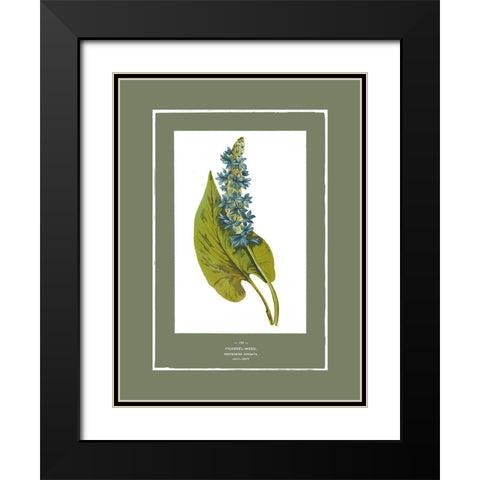 Green Botanics II Black Modern Wood Framed Art Print with Double Matting by PI Studio