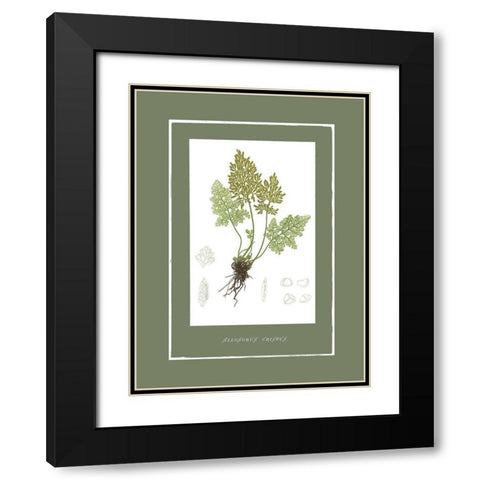 Green Botanics III Black Modern Wood Framed Art Print with Double Matting by PI Studio