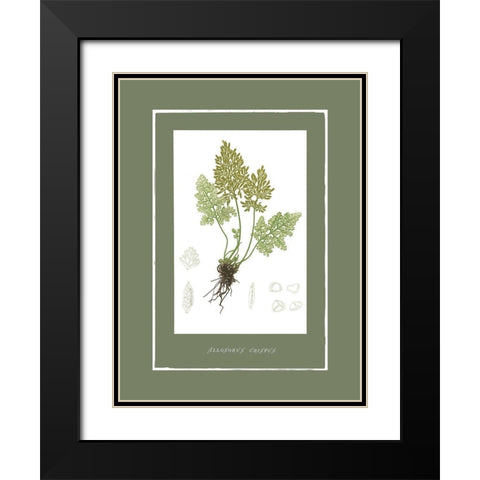 Green Botanics III Black Modern Wood Framed Art Print with Double Matting by PI Studio