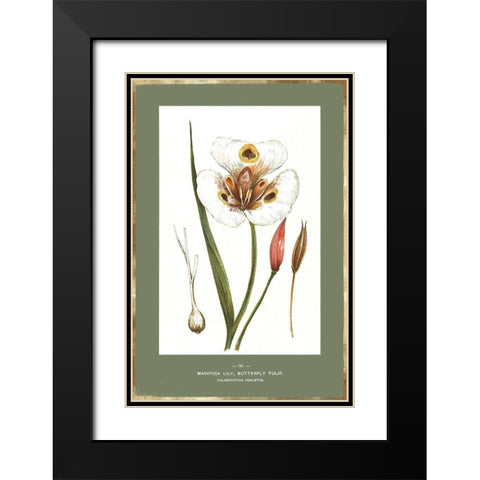 Green Botanics IV Black Modern Wood Framed Art Print with Double Matting by PI Studio