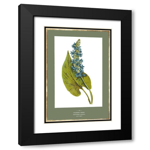 Green Botanics V Black Modern Wood Framed Art Print with Double Matting by PI Studio