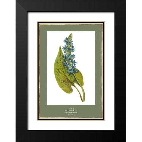 Green Botanics V Black Modern Wood Framed Art Print with Double Matting by PI Studio