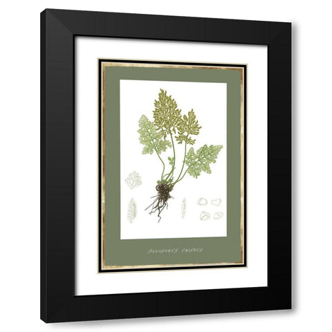 Botanical Garden IV Black Modern Wood Framed Art Print with Double Matting by PI Studio