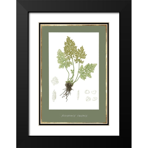 Botanical Garden IV Black Modern Wood Framed Art Print with Double Matting by PI Studio