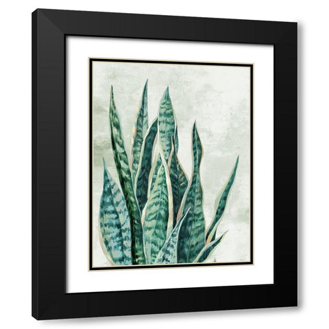 Reaching Snake Plant Black Modern Wood Framed Art Print with Double Matting by PI Studio