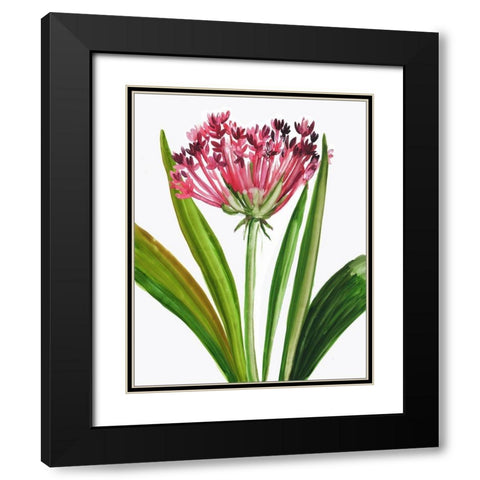 Blooming Pink Black Modern Wood Framed Art Print with Double Matting by Pi Studio