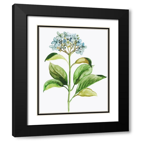 Little Hydrangea Black Modern Wood Framed Art Print with Double Matting by Pi Studio