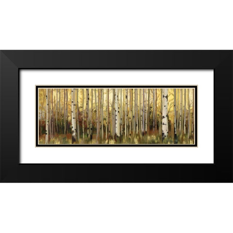Forest Light Black Modern Wood Framed Art Print with Double Matting by Pearce, Allison