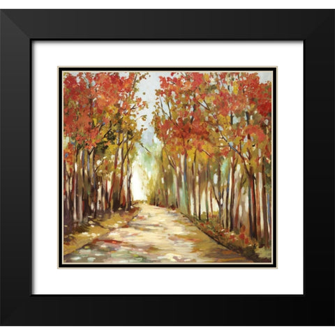 Sunny Path Black Modern Wood Framed Art Print with Double Matting by Pearce, Allison