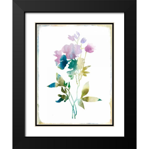Summer Botanical II Black Modern Wood Framed Art Print with Double Matting by PI Galerie
