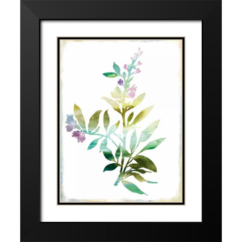 Summer Botanical III Black Modern Wood Framed Art Print with Double Matting by PI Galerie