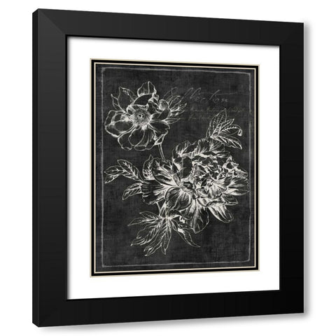 Black Botanical I Black Modern Wood Framed Art Print with Double Matting by PI Galerie