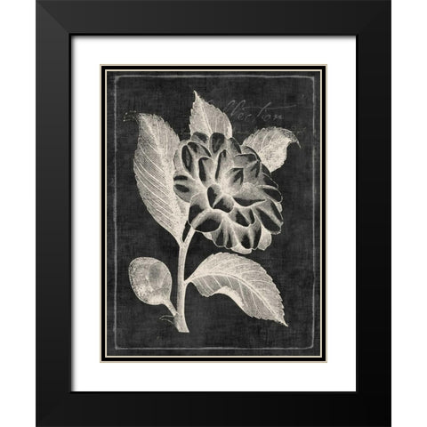 Black Botanical II Black Modern Wood Framed Art Print with Double Matting by PI Galerie