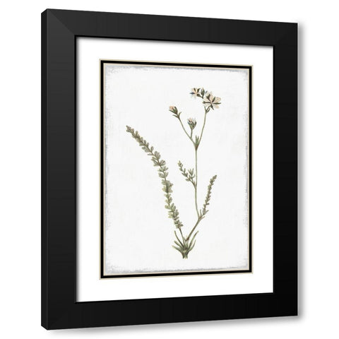 Little Flower I Black Modern Wood Framed Art Print with Double Matting by Pi Studio