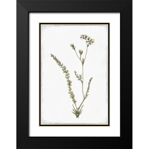 Little Flower I Black Modern Wood Framed Art Print with Double Matting by Pi Studio