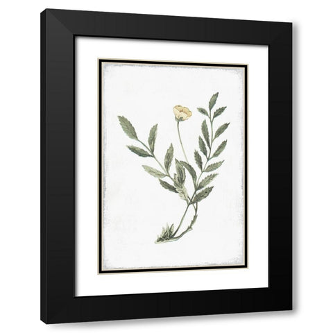 Little Flower III Black Modern Wood Framed Art Print with Double Matting by Pi Studio