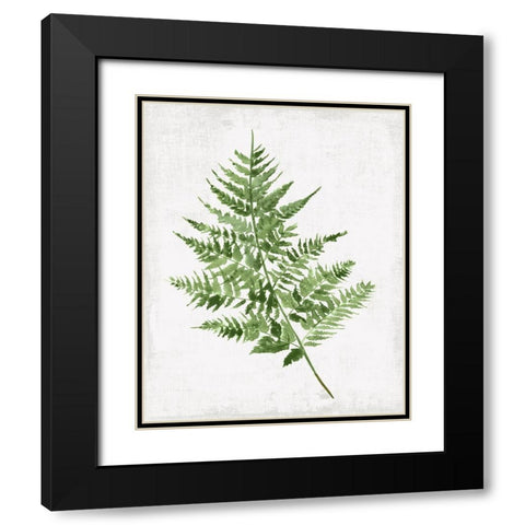 Fern Pressing II Black Modern Wood Framed Art Print with Double Matting by PI Studio