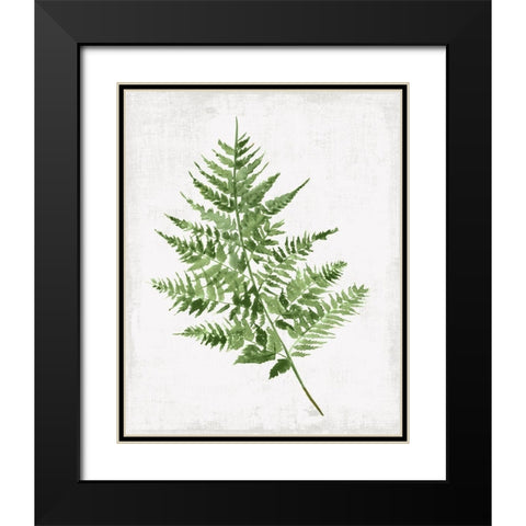 Fern Pressing II Black Modern Wood Framed Art Print with Double Matting by PI Studio