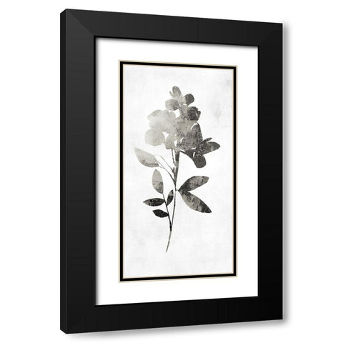 PI Studio Black Modern Wood Framed Art Print with Double Matting by A Shadow Of A Flower I