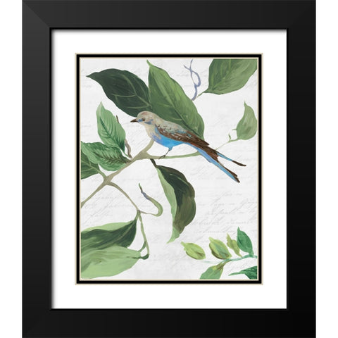 Spring Bird I Black Modern Wood Framed Art Print with Double Matting by PI Studio