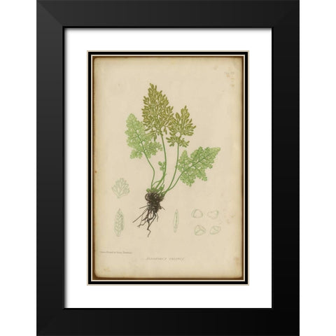 Roots  Black Modern Wood Framed Art Print with Double Matting by PI Collection