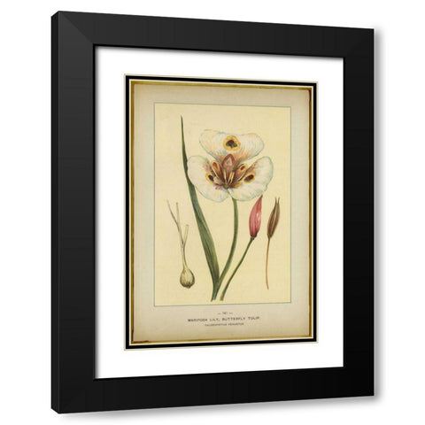 Mariposalily Black Modern Wood Framed Art Print with Double Matting by PI Collection