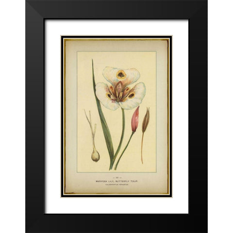Mariposalily Black Modern Wood Framed Art Print with Double Matting by PI Collection