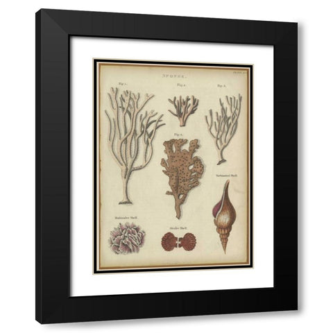 Sponge Black Modern Wood Framed Art Print with Double Matting by PI Collection