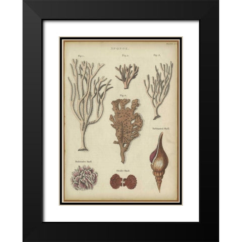 Sponge Black Modern Wood Framed Art Print with Double Matting by PI Collection